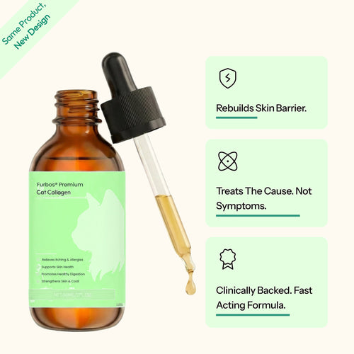 01 bottle benefits