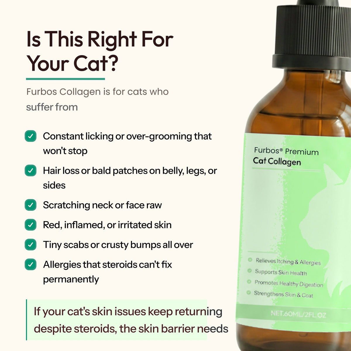 02 is this right for your cat