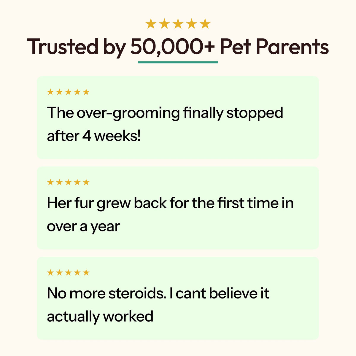 06 trusted by 50000