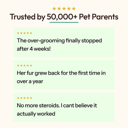 06 trusted by 50000