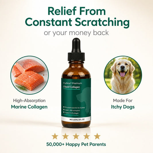 Relief from constant scratching or your money back, Furbos liquid collagen for dogs