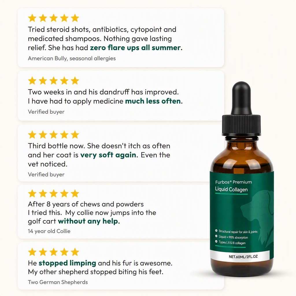 Five verified five star reviews from Furbos customers