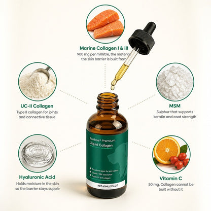 What is in each serving: marine collagen, UC-II, MSM, hyaluronic acid, vitamin C