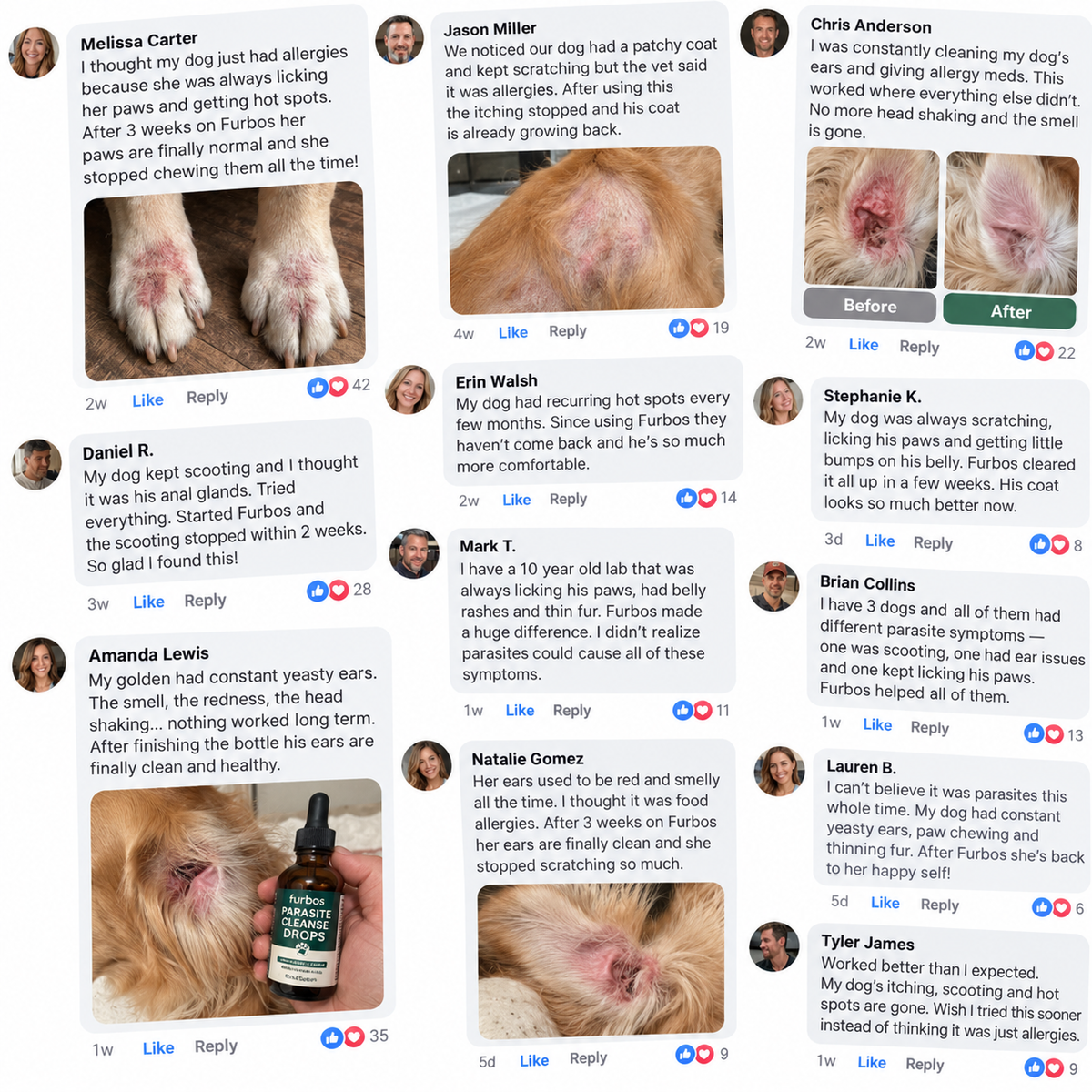Dog owners' reviews of Furbos Parasite Cleanse Drops