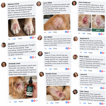 Dog owners' reviews of Furbos Parasite Cleanse Drops