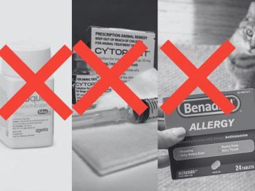 /pages/allergies | Untitled_design_1.avif